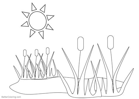 Pond Coloring Pages Plants And Sunshine Free Printable Coloring Pages