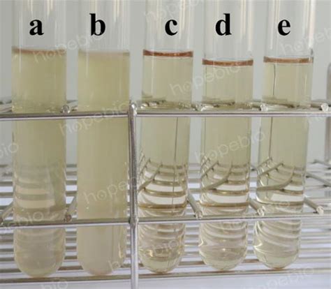 氯化钠结晶紫增菌液培养基原理和使用方法