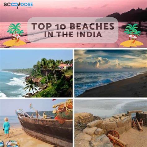 complete guide top  beaches  india top  beaches famous