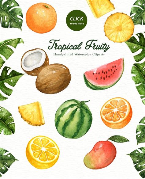 Tropical Fruity Watercolor Clipart Watercolor Fruit Etsy Watercolor