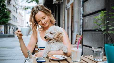 top  pet friendly cafes