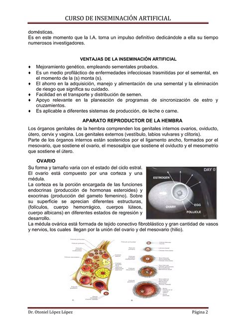 Curso De Inseminacion Artificial Dr Otoniel L Pez Pdf