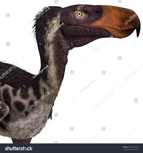 D Illustration Dinosaur Terror Bird Kelenken Stock Illustration