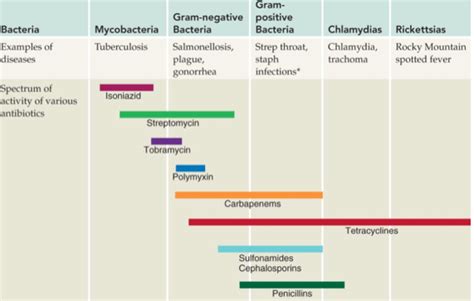 Antibiotika Medicin Wiki