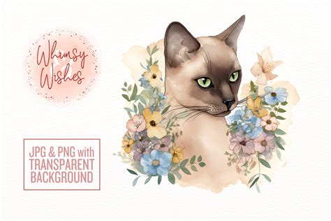 Burmese Cat Floral Watercolor Clip Art Graphic By Whimsyandwishes