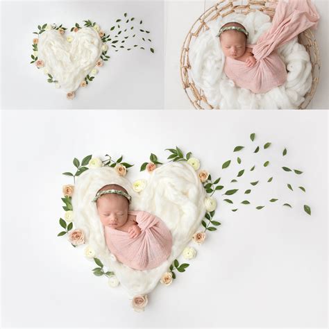 Newborn Digital Backdrops And Backgrounds For Photographers