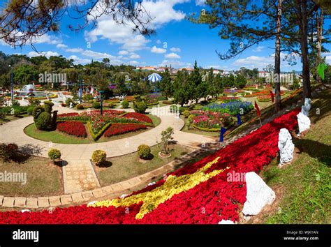 City flower garden in Dalat, Vietnam Stock Photo - Alamy