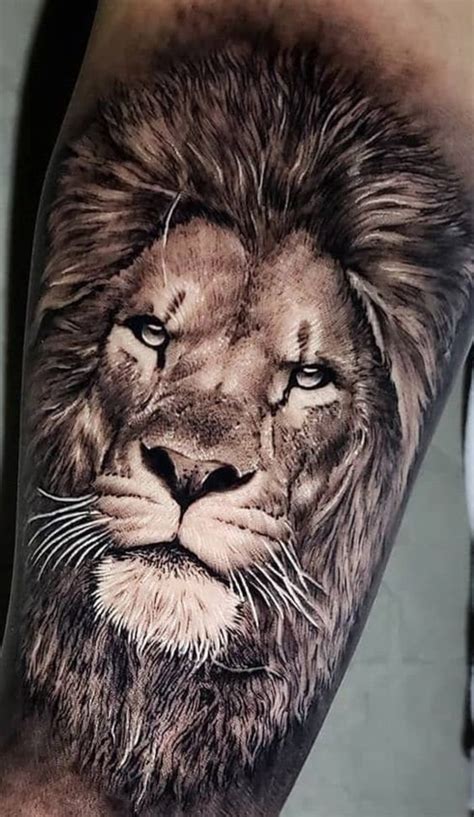 23+ Designs of Lion tattoo for men and women - VeAn Tattoo