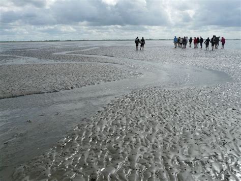 Kostenlose Foto Strand Meer K Ste Wasser Ozean Horizont Wolke