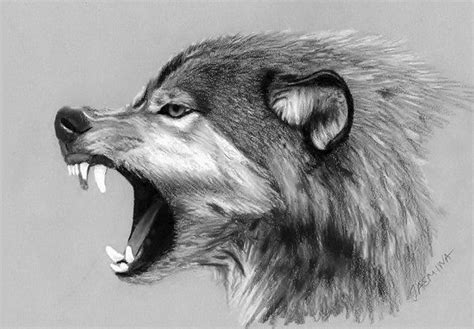 Wolf Drawing Pesquisa Google Desenho De Lobos Desenho De Tatuagem