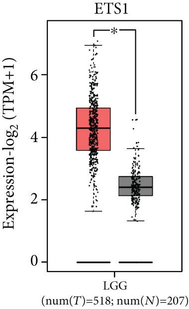 CRNDE Regulated Transcription Factors And Downstream Targeted Gene