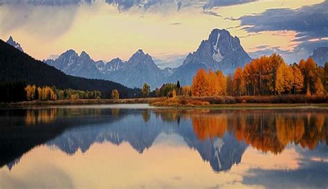 Jackson Hole Summer And Fall Wildlife Sunrise Safari