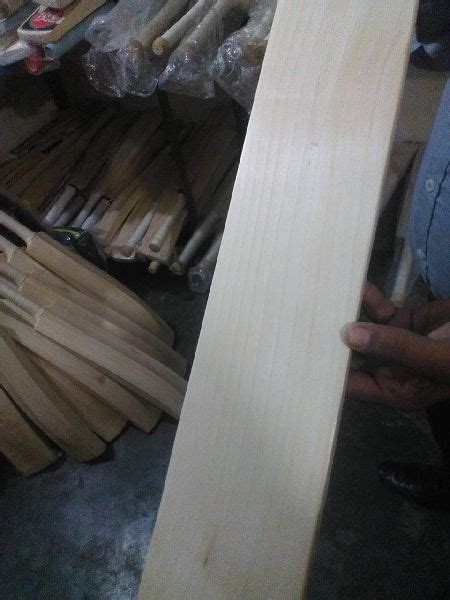 Plain 1050 1150 Gms Wood English Willow Cricket Bat Feature Premium