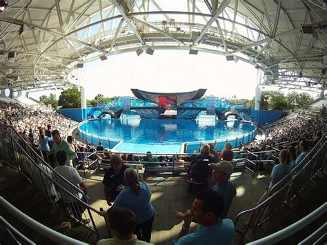 "One Ocean" Killer Whale Show Debut At Seaworld Orlando