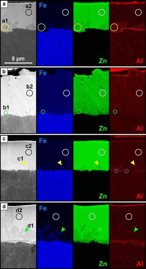 Se Sem Images And Corresponding Edx Elemental Mappings For A Download Scientific Diagram