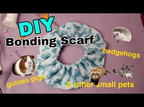 DIY Bonding Scarf For Guinea Pigs Hedgehogs Sugar Gliders Other Small