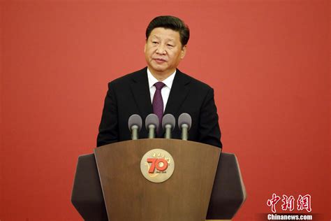 习近平颁发中国人民抗日战争胜利70周年纪念章国内新闻环球网