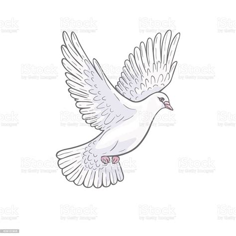 Flying White Dove Stock Illustration Download Image Now Animal Body