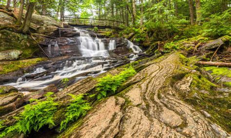 bracebridge  area guide
