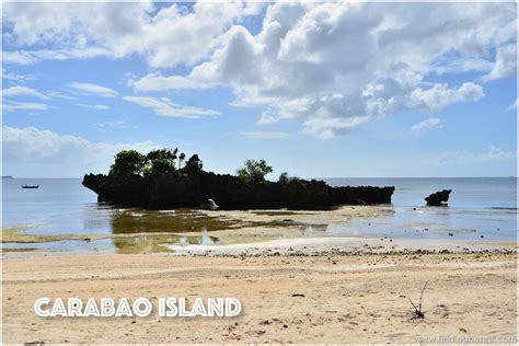 Carabao Island 9 - Finding Henru