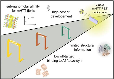 PET Ligands For Imaging Mutant Huntingtin Aggregates A Case Study In