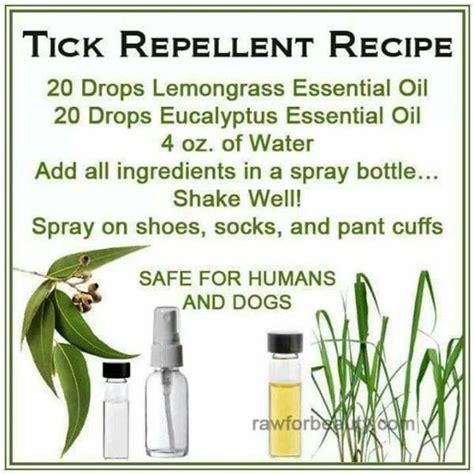 Homemade Flea And Tick Repellent For Cats