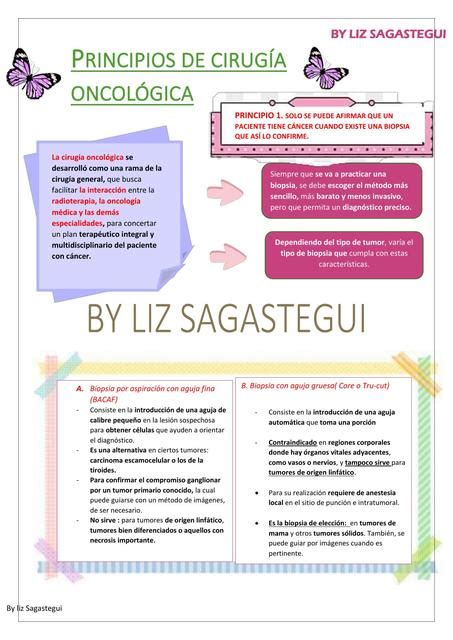 Principios De Cirug A Oncol Gica Liz Sagastegui Udocz