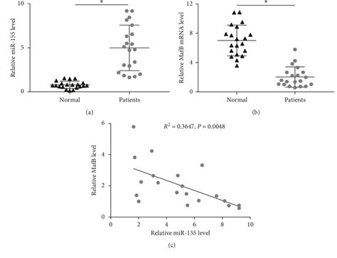 Figure 1 From Mir 155 Knockdown Protects Against Cerebral Ischemia And