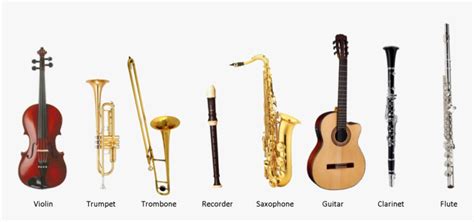 Musical Instrument Instrumental Music With Name, HD Png Download - kindpng