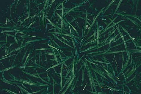 Landscaping Near Me? | Tri-County Landscaping | Call Now