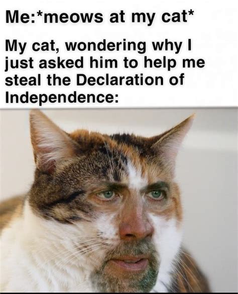 Are Nicholas Cage Cat memes a thing? : r/memes