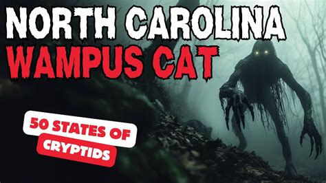 The Wampus Cat Of North Carolina 50 States Of Cryptids Scary Story