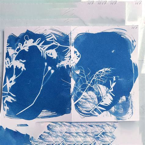 Cyanotype Printmaking With Flax Belfast Print Workshop