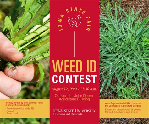 Iowa State Fair Weed Identification Contest Horticulture And Home