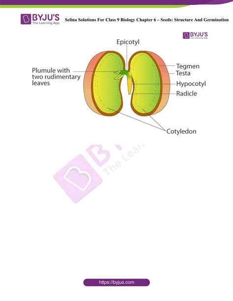 Selina Solutions Class 9 Concise Biology Chapter 6 Structure And