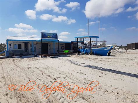 Blue Dolphin Centre De Plong E Djerba Plong E En Tunisie Plong E