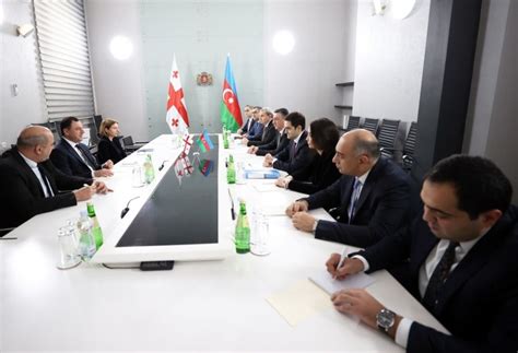 Azerbaijan Georgia Discuss Prospects Of Coop In Science Education