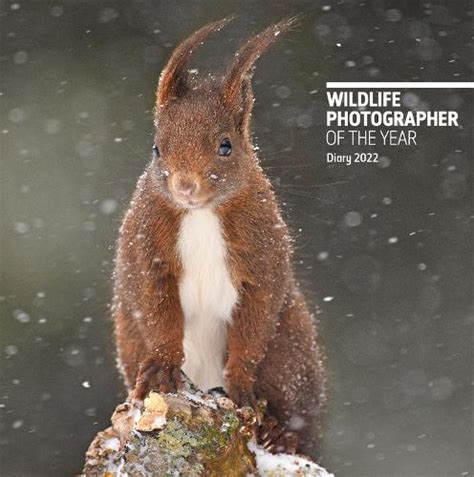 Wildlife Photo Of The Year 2022 Photo Hub