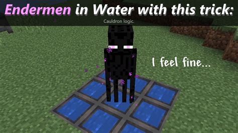 Cauldrons In Minecraft Is Quite Cursed ─ With Enderman In Water