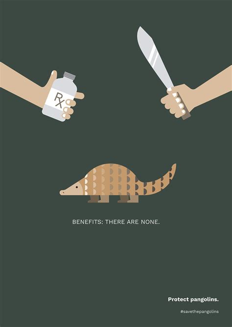 Save the Pangolins Project :: Behance