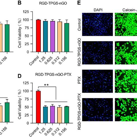 Assessment Of The In Vitro Anti Tumor Effect Of Rgd Tpgs Ngo Ptx The