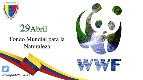 El Top Fondo Mundial Para La Naturaleza Abzlocal Mx