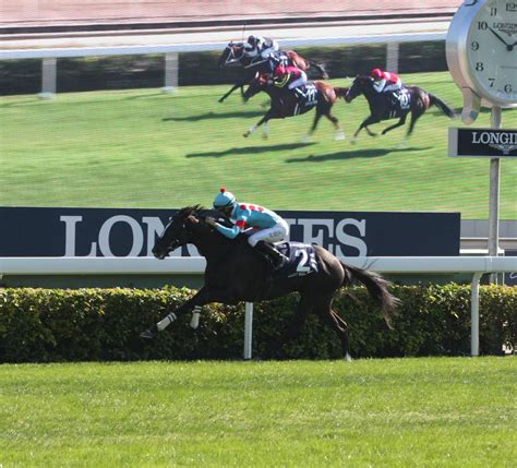 【香港ヴァーズ】グローリーヴェイズg1初制覇 モレイラ“マジック”さく裂 競馬ニュース