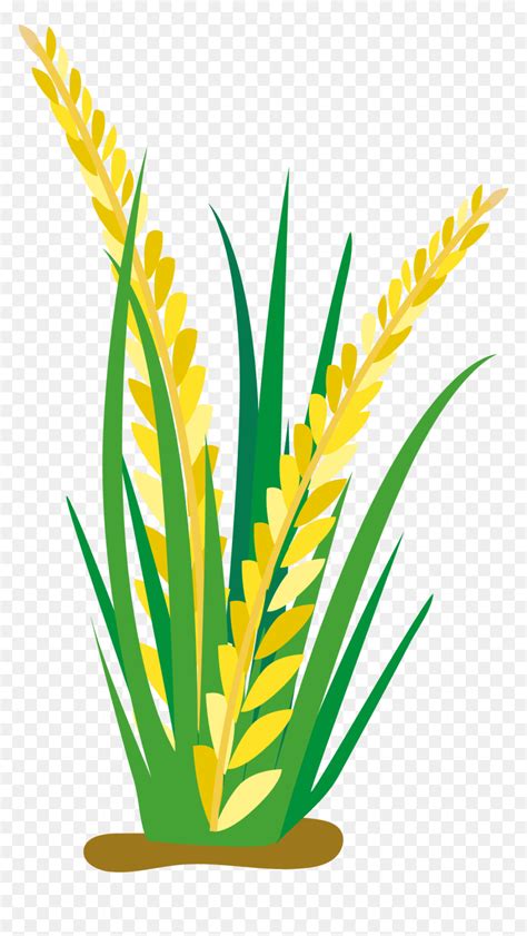 Field Clipart Rice Clip Arts For Download - Rice Plant Vector Png ...