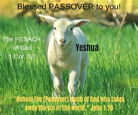 Yeshua The Passover Lamb Passover Lamb Lamb Passover