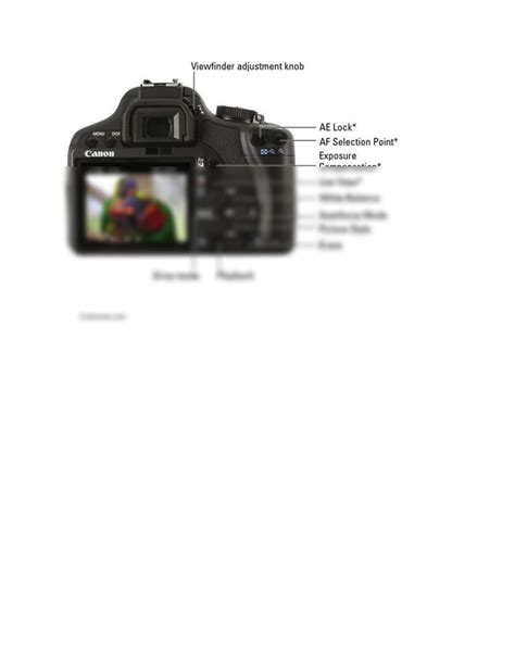 SOLUTION: Chart parts of dslr canon view - Studypool
