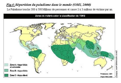 Répartition du paludisme dans le monde Download Scientific Diagram