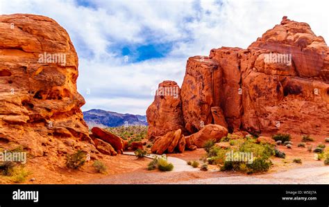 The Bright Red Aztec Sandstone Rock Formations In The Valley Of Fire State Park In The State Of