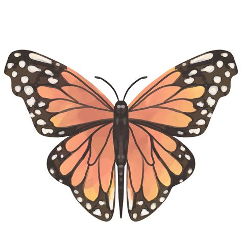 Monarch Butterfly Clipart 37753119 Png