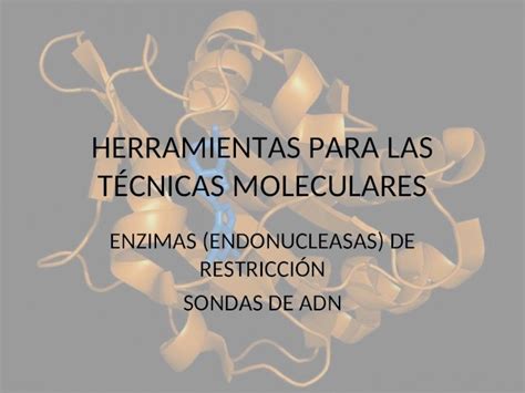 Ppt Herramientas Para Las T Cnicas Moleculares Enzimas Endonucleasas